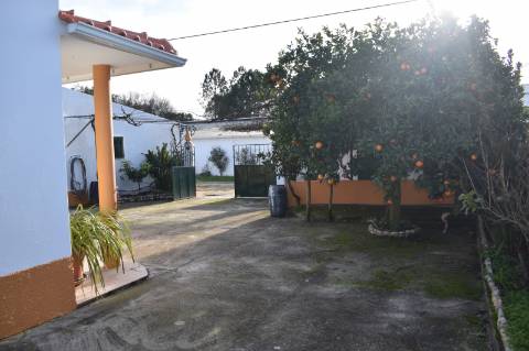 Moradia T3 com terreno