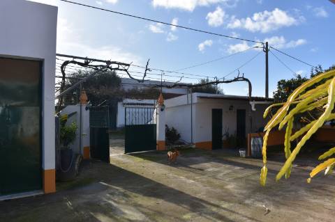 Moradia T3 com terreno