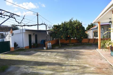 Moradia T3 com terreno