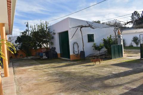 Moradia T3 com terreno