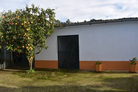 Moradia T3 com terreno