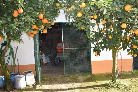 Moradia T3 com terreno