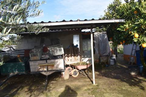 Moradia T3 com terreno