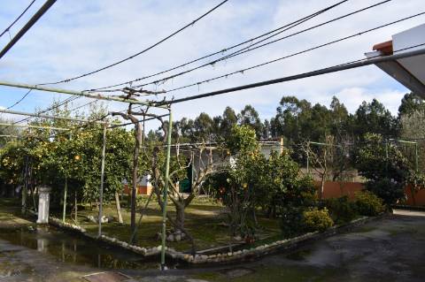 Moradia T3 com terreno