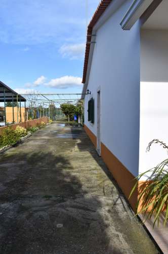 Moradia T3 com terreno