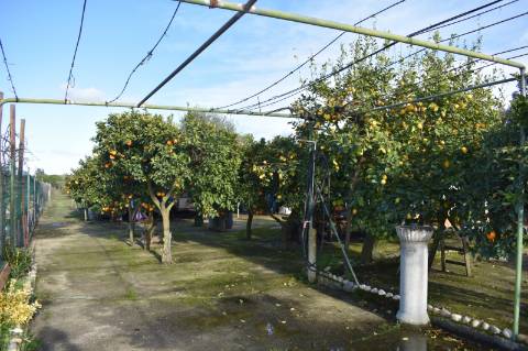 Moradia T3 com terreno