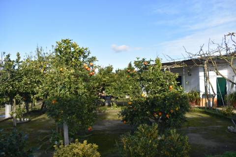 Moradia T3 com terreno