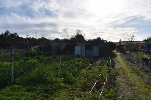 Moradia T3 com terreno