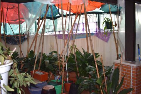 Apartamento T3 em localização de excelência