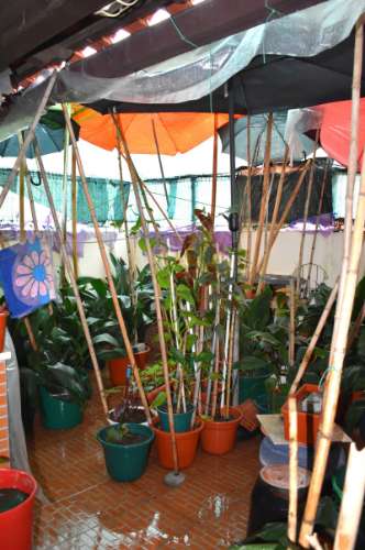 Apartamento T3 em localização de excelência