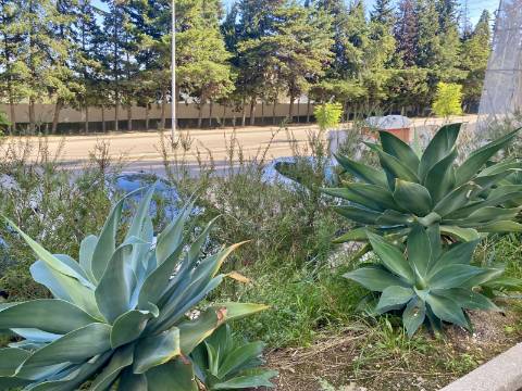 V E N D I D O - T2 - Qta do Conventinho - Sto Antº Cavaleiros - Varanda - Parqueamento (1cr) - Arrecadação