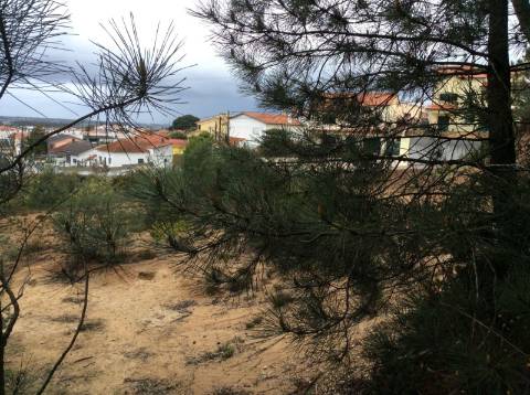 Terreno Exelente para o mercado de apartamentos ou moradias