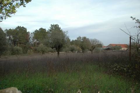Terreno ideal para o tão apetecido Turismo Rural