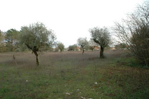 Terreno ideal para o tão apetecido Turismo Rural