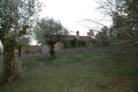 Terreno ideal para o tão apetecido Turismo Rural