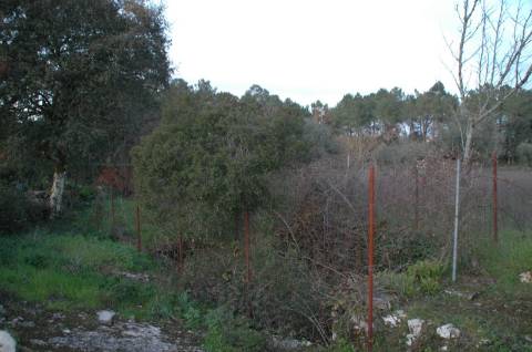 Terreno ideal para o tão apetecido Turismo Rural