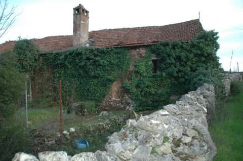 Terreno ideal para o tão apetecido Turismo Rural