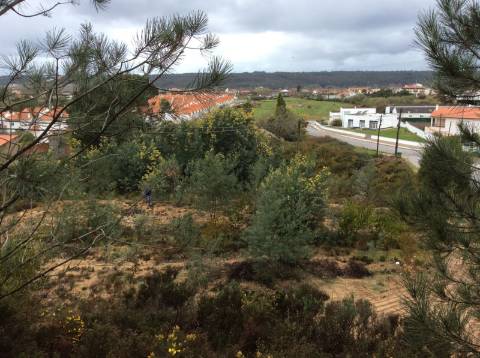 Terreno em leiria