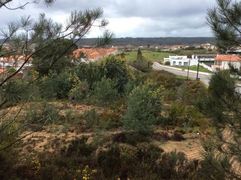 Terreno em leiria