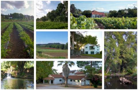 Quinta do Regato com 13 HA