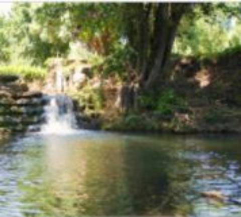 Quinta do Regato com 13 HA