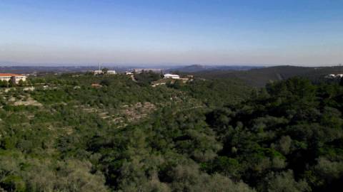 Terreno com Projeto Aprovado