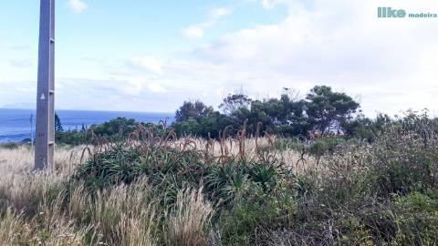 TERRENO DA LONGUEIRA-CANIÇAL