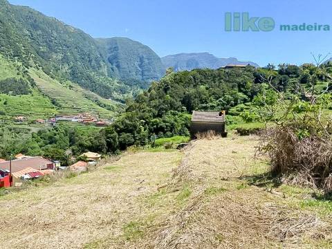 TERRENO DA CALÇADA - S. VICENTE