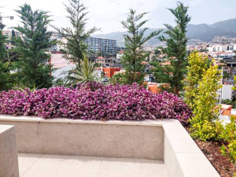 APARTAMENTOS 'QUINTINHA DA FÉ'