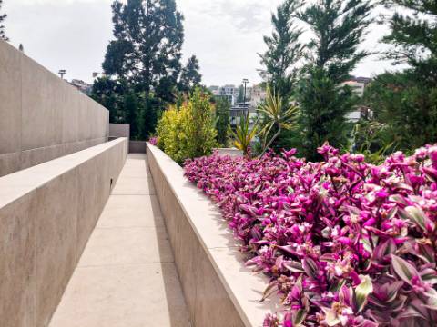 APARTAMENTOS 'QUINTINHA DA FÉ'