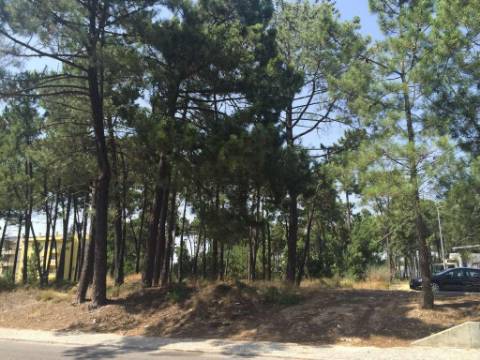 Terreno, Azeitão, Setúbal