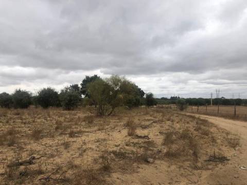 Terreno, Poçoilos, Setúbal