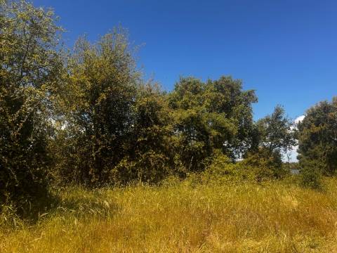 Terreno, Poçoilos, Setúbal