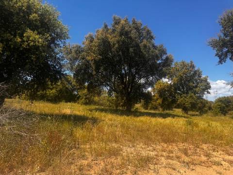 Terreno, Poçoilos, Setúbal