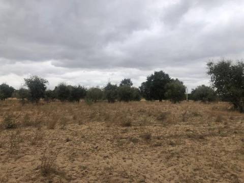 Terreno, Poçoilos, Setúbal