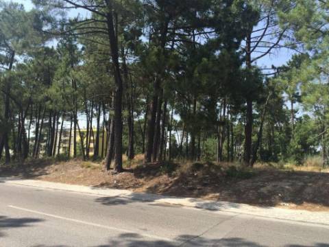 Terreno, Azeitão, Setúbal