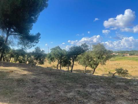 Terreno, Manteigadas, Setúbal