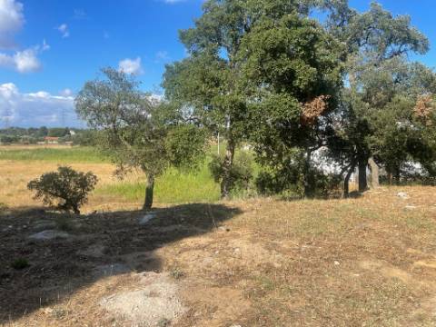 Terreno, Manteigadas, Setúbal