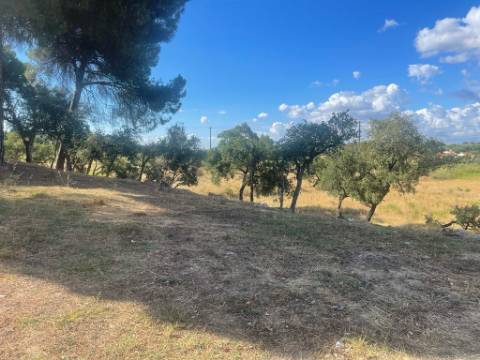 Terreno, Manteigadas, Setúbal