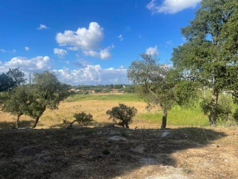 Terreno, Manteigadas, Setúbal