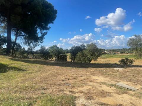 Terreno, Manteigadas, Setúbal