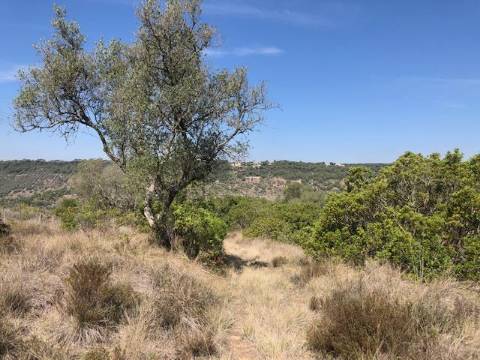Terreno, Vale dos Barris, Carrascal, Palmela