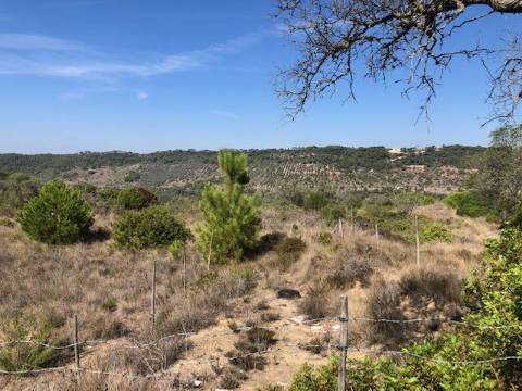Terreno, Vale dos Barris, Carrascal, Palmela