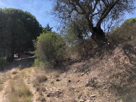 Terreno, Vale dos Barris, Carrascal, Palmela