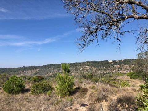 Terreno, Vale dos Barris, Carrascal, Palmela