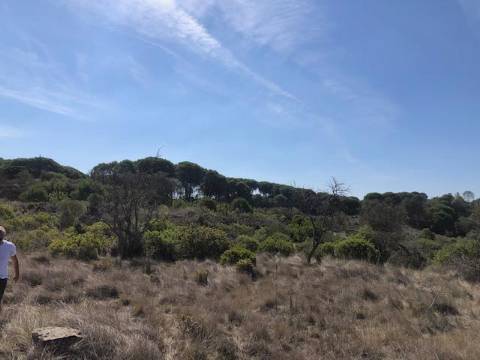 Terreno, Vale dos Barris, Carrascal, Palmela