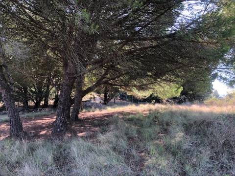 Terreno, Vale dos Barris, Carrascal, Palmela