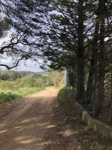 Terreno, Vale dos Barris, Carrascal, Palmela