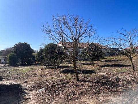 Terreno, Vale da Abrunheira Palmela