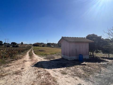 Terreno, Vale da Abrunheira Palmela